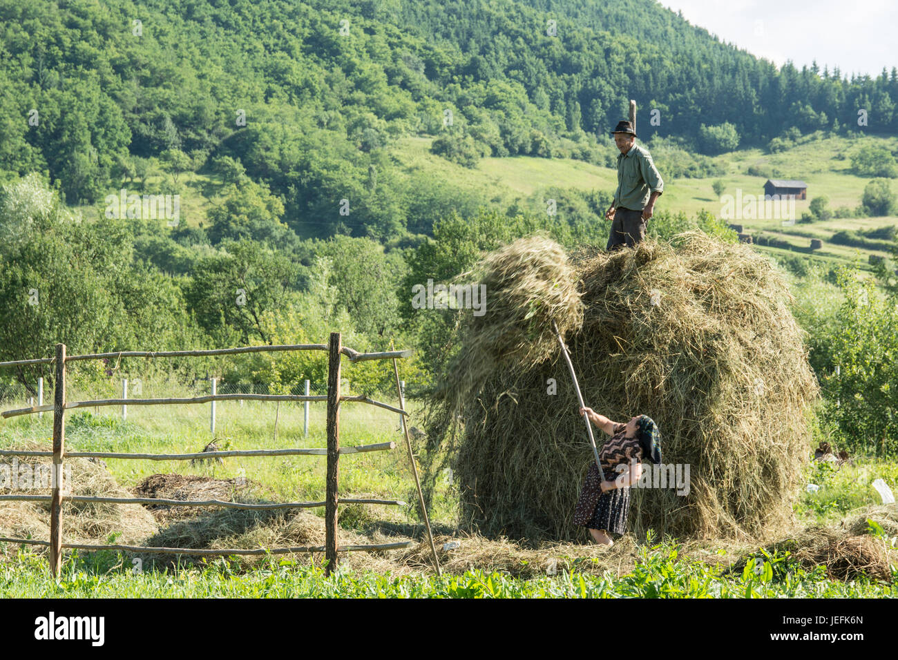 Il fieno raccolto in Romania Foto Stock