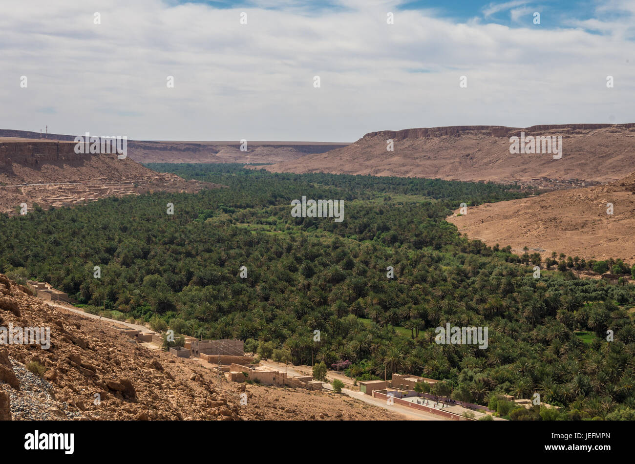Enorme palmeto di Ziz River Valley, Marocco. Vista aerea Foto Stock