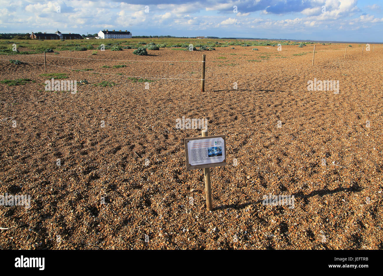 Suffolk Wildlife Trust segno circa una cordata off siti di nidificazione per gli uccelli, strada di ciottoli, Suffolk, Inghilterra, Regno Unito Foto Stock
