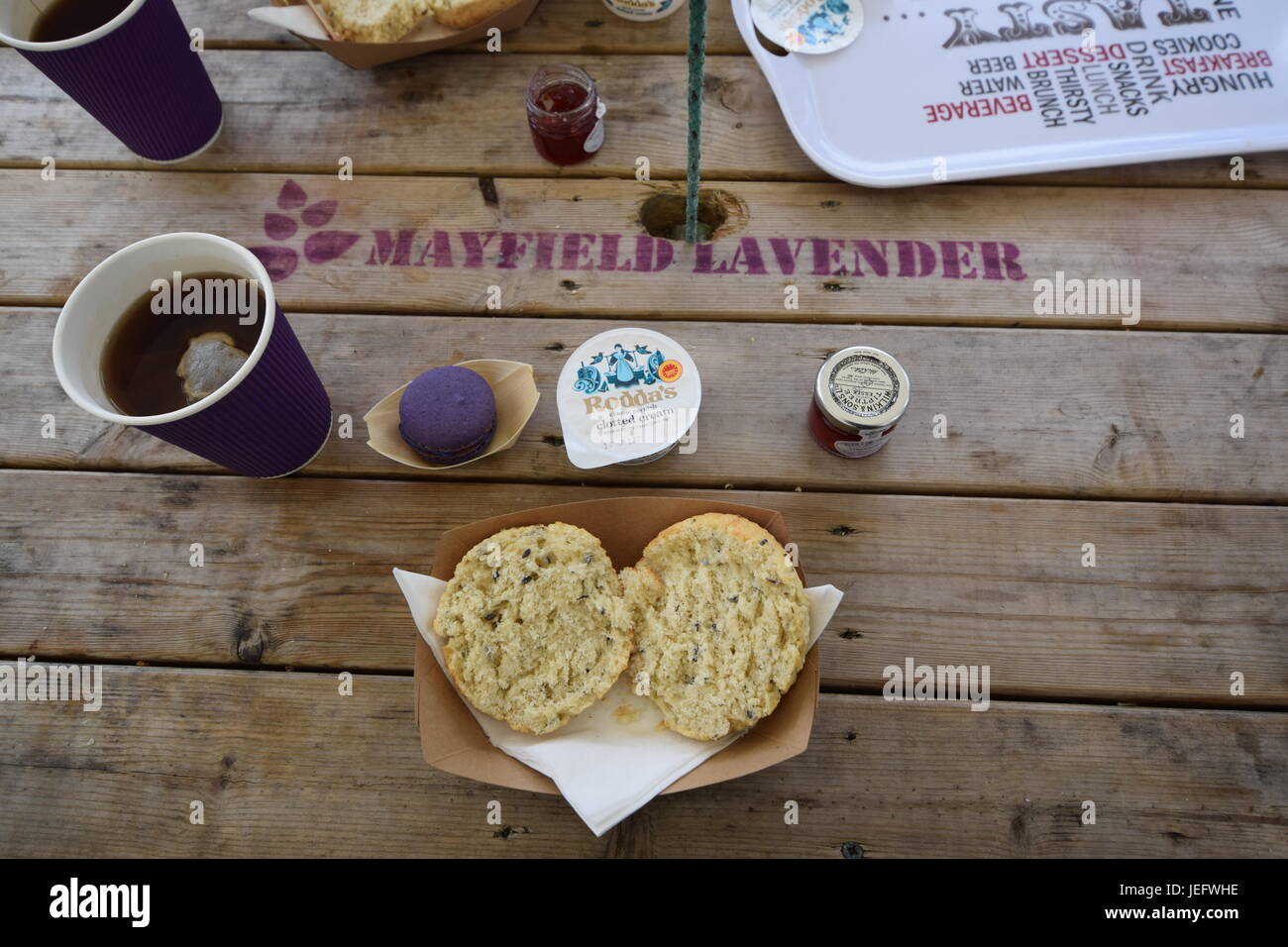 Mayfield Fattoria di Lavanda 2017 Foto Stock