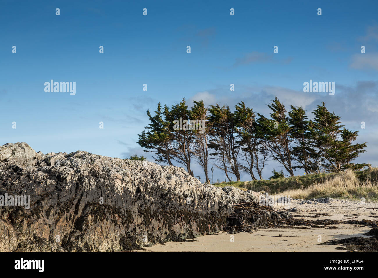 Sunny beach a Traigh vicino Arisaig, Scozia, Regno Unito, Europa. Foto Stock