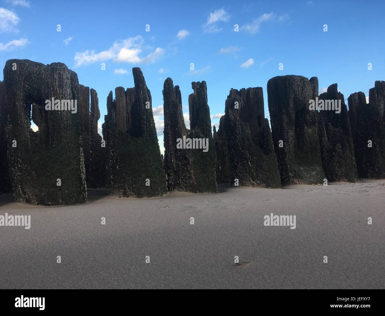 Riga di legno stagionato, i resti di un antico molo sulla spiaggia. Silhouette di fila di decomporsi molo in legno, Coney Island, New York. Foto Stock