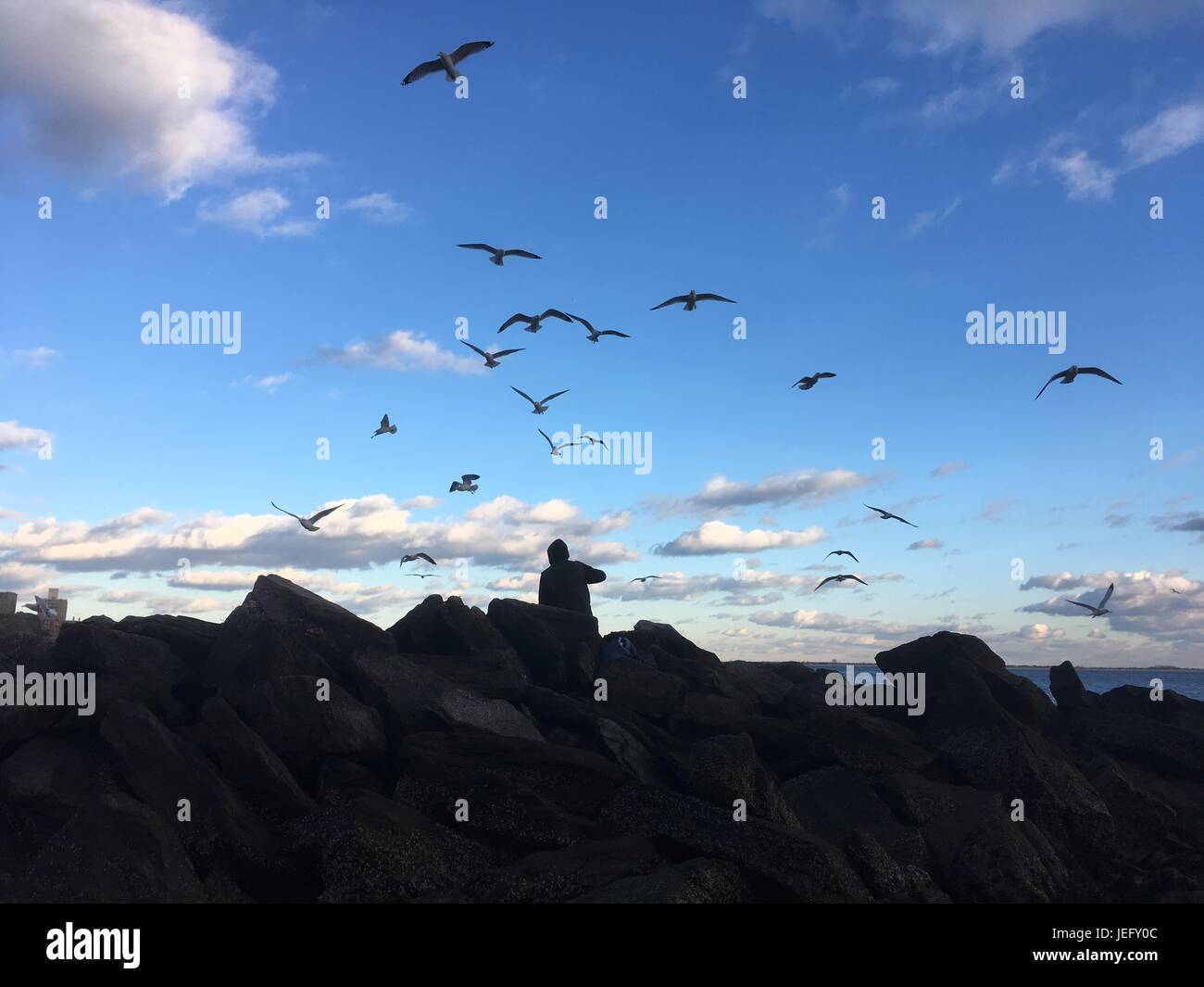 Silhouette di uccelli in volo. L'uomo alimenta Gabbiani sulla spiaggia. L uomo si siede su rocce e getta il pesce di gabbiani, Coney Island, New York. Foto Stock