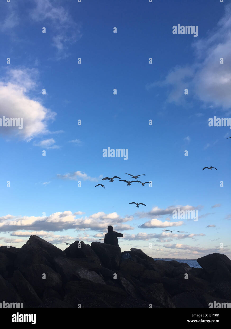 Mans siede su rocce e alimenta le acciughe di gabbiani accanto all'oceano al crepuscolo. Coney Island, Brooklyn, New York. Gabbiani alimentati dall'uomo sulla spiaggia. Foto Stock