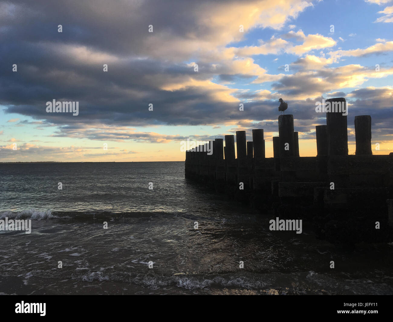 Tramonto sulla spiaggia, silhouette del molo vecchio e seagull appollaiato su un traliccio di legno. Onde giro calmante contro il litorale sabbioso di Coney island, Bro Foto Stock