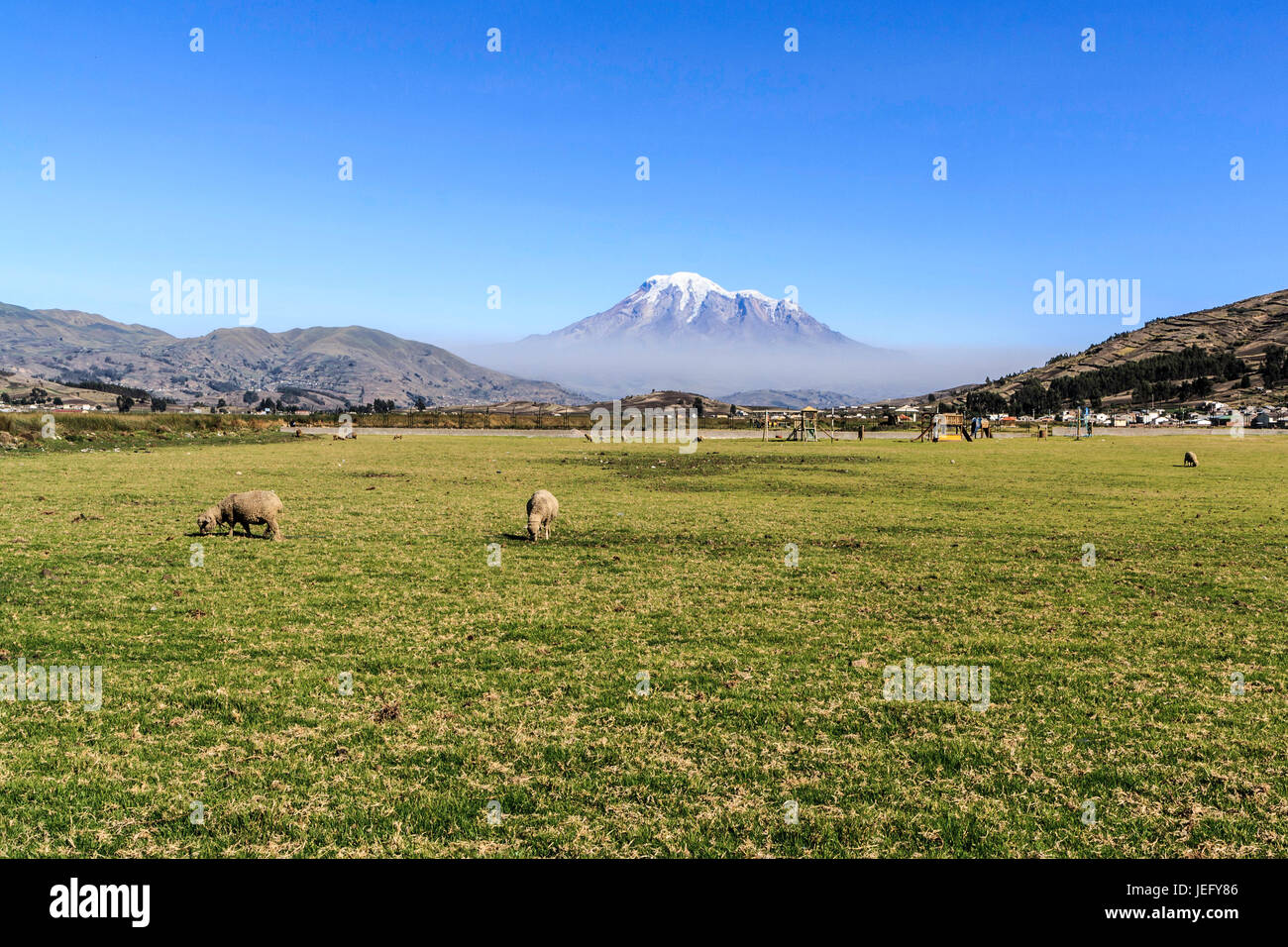 Chimborazo paesaggio con in una giornata di sole Foto Stock