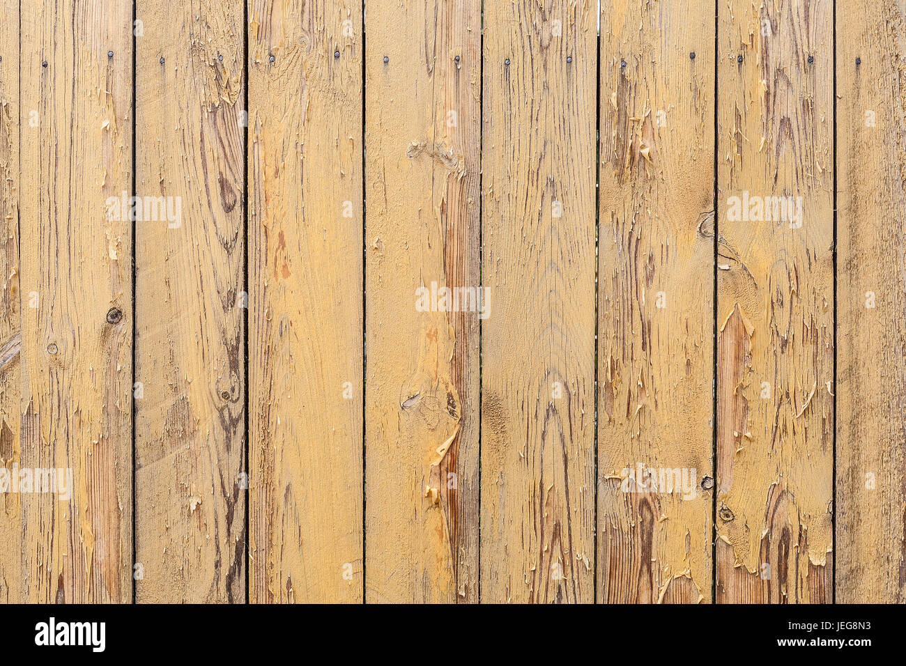 Texture di legno grande come sfondo Foto Stock