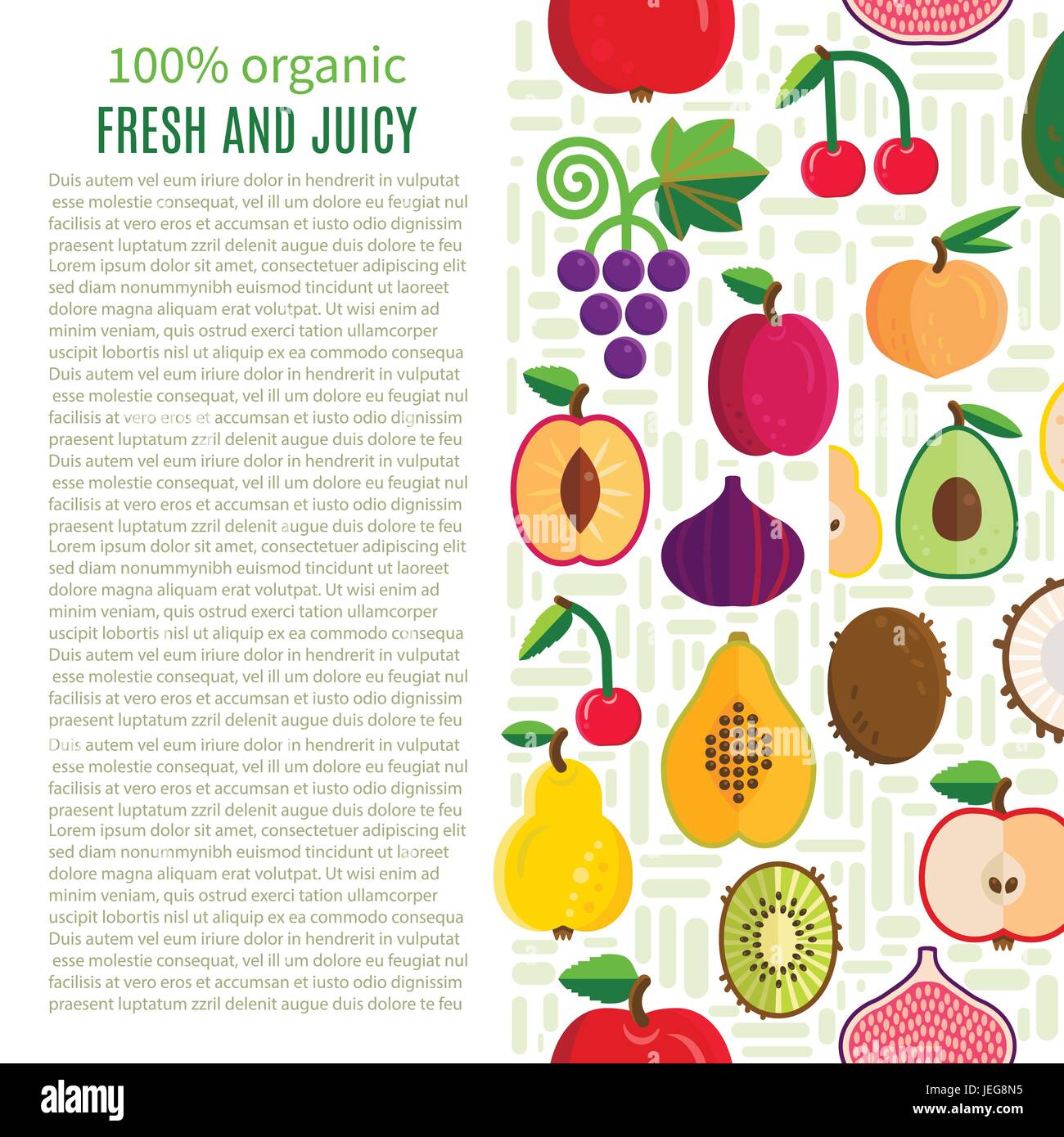 Frutta fresca raccolta del vettore. Luminosa e positiva. Facile da modificare. Illustrazione di una sana alimentazione Illustrazione Vettoriale