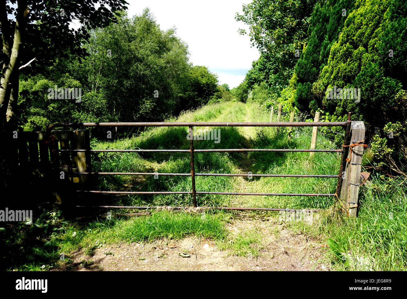 Sito di vecchie e in disuso la linea ferroviaria Omagh County Tyrone Irlanda del Nord Foto Stock