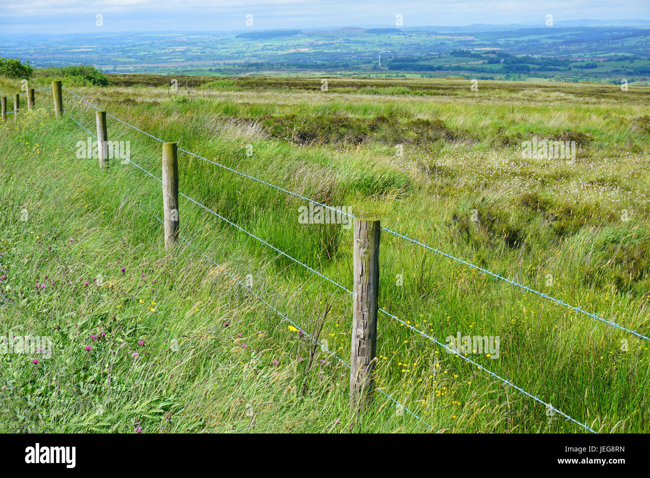Vista del Paesaggio Montagne Sperrin Sperrins County Tyrone Irlanda del Nord Foto Stock