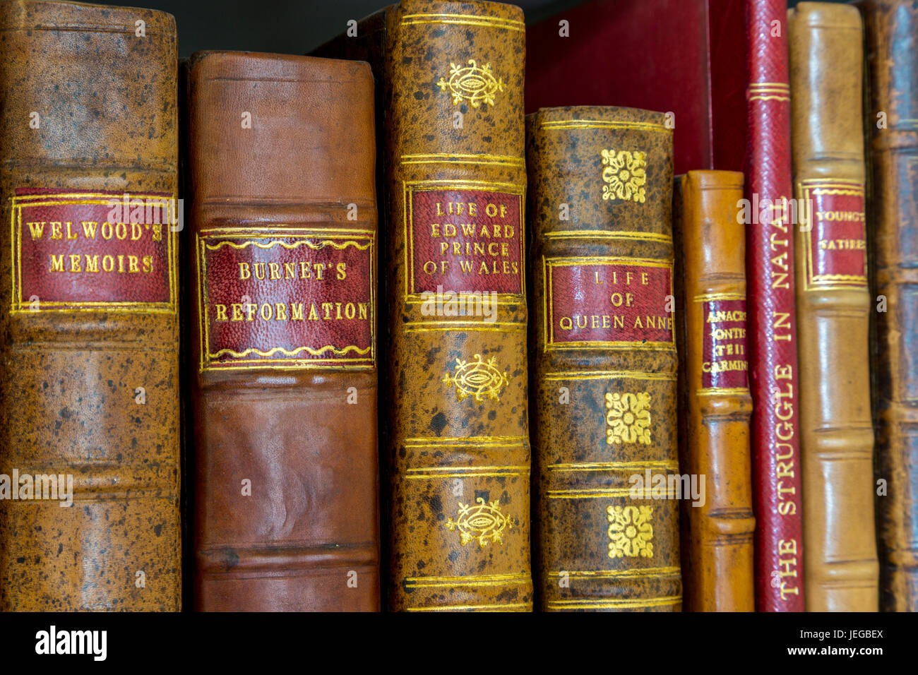 Yorkshire, Inghilterra, Regno Unito. Antiquario libri in biblioteca di una tenuta di campagna. Foto Stock