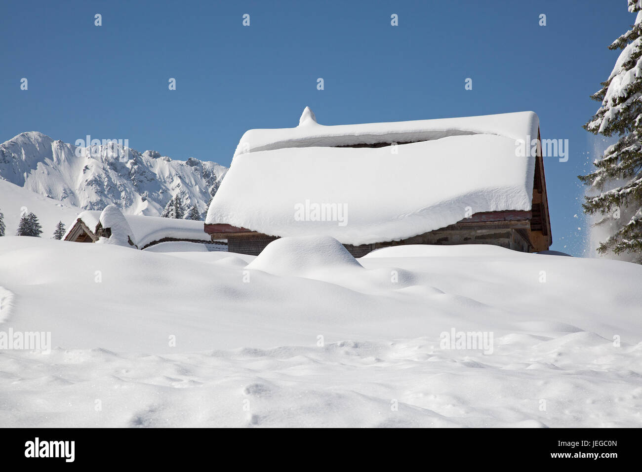 Inverno nelle alpi svizzere nei pressi del Monte Santis, Svizzera Foto Stock