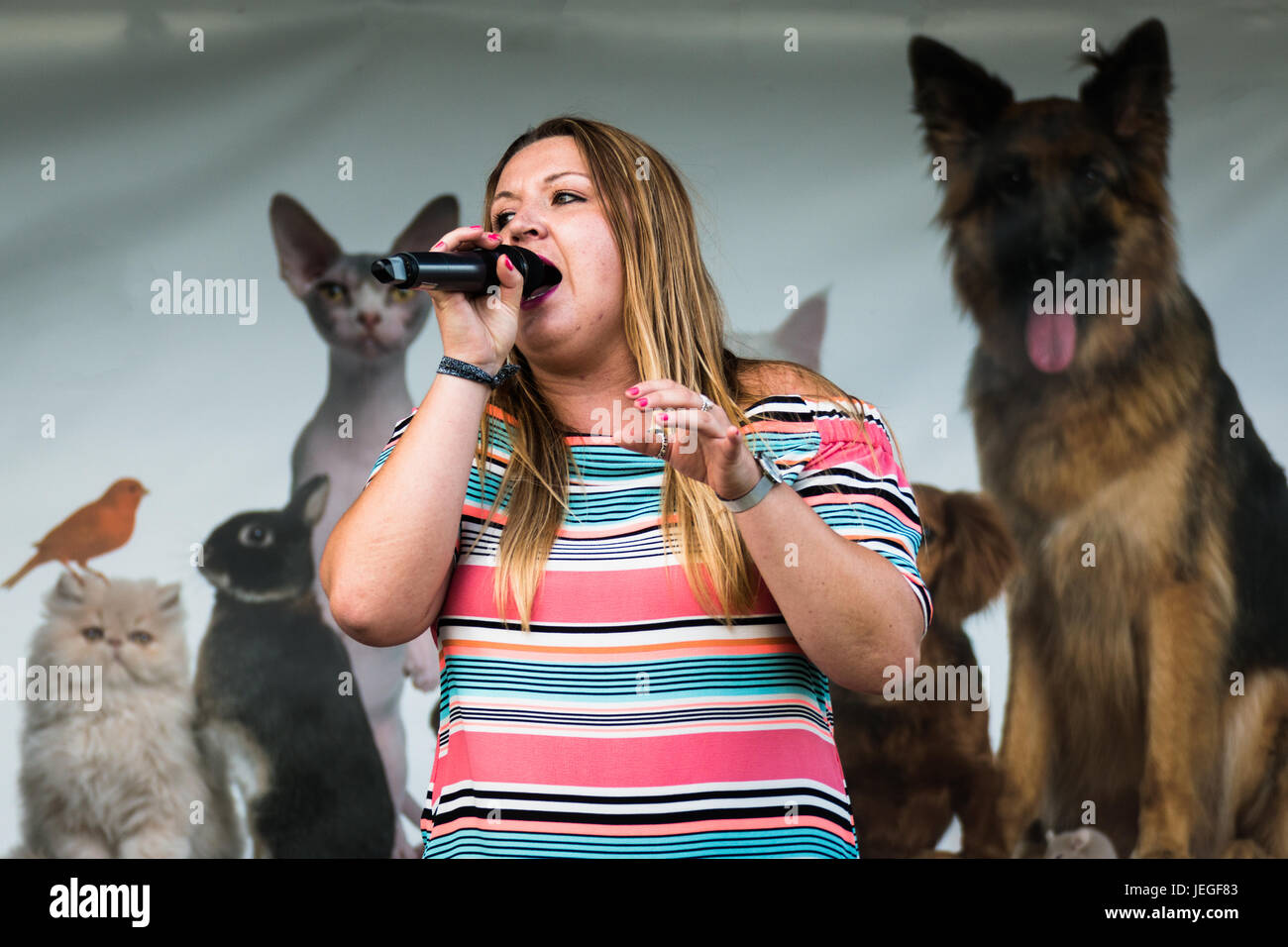 South Derbyshire, Regno Unito. 24 GIU, 2017. Aprile Davies cantante solista al Festival di svago South Derbyshire Credito: Chris pareti/Alamy Live News Foto Stock