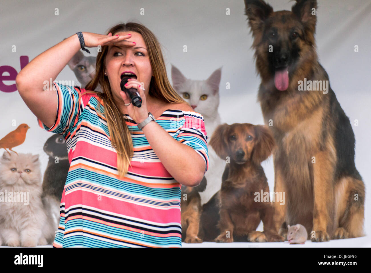 South Derbyshire, Regno Unito. 24 GIU, 2017. Aprile Davies cantante solista al Festival di svago South Derbyshire Credito: Chris pareti/Alamy Live News Foto Stock