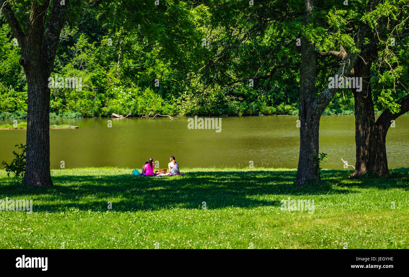 La mamma e i bambini aventi un picnic in riva al lago Foto Stock