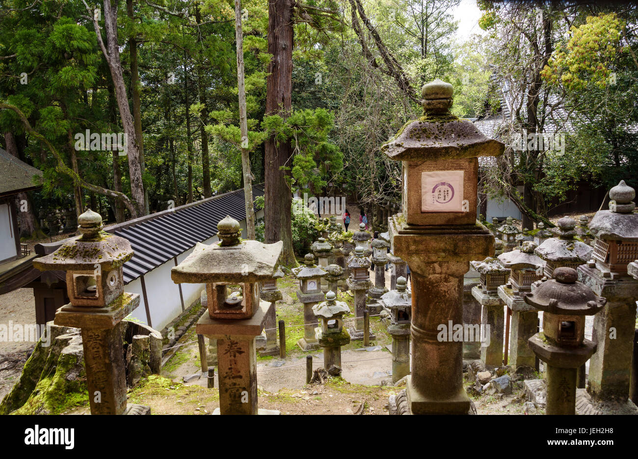 Di Kasuga Taisha lanterne di pietra Foto Stock