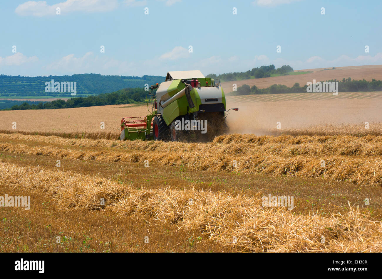 Macchina trebbiatrice per il raccolto del frumento di lavoro nel campo. Agricoltura Foto Stock