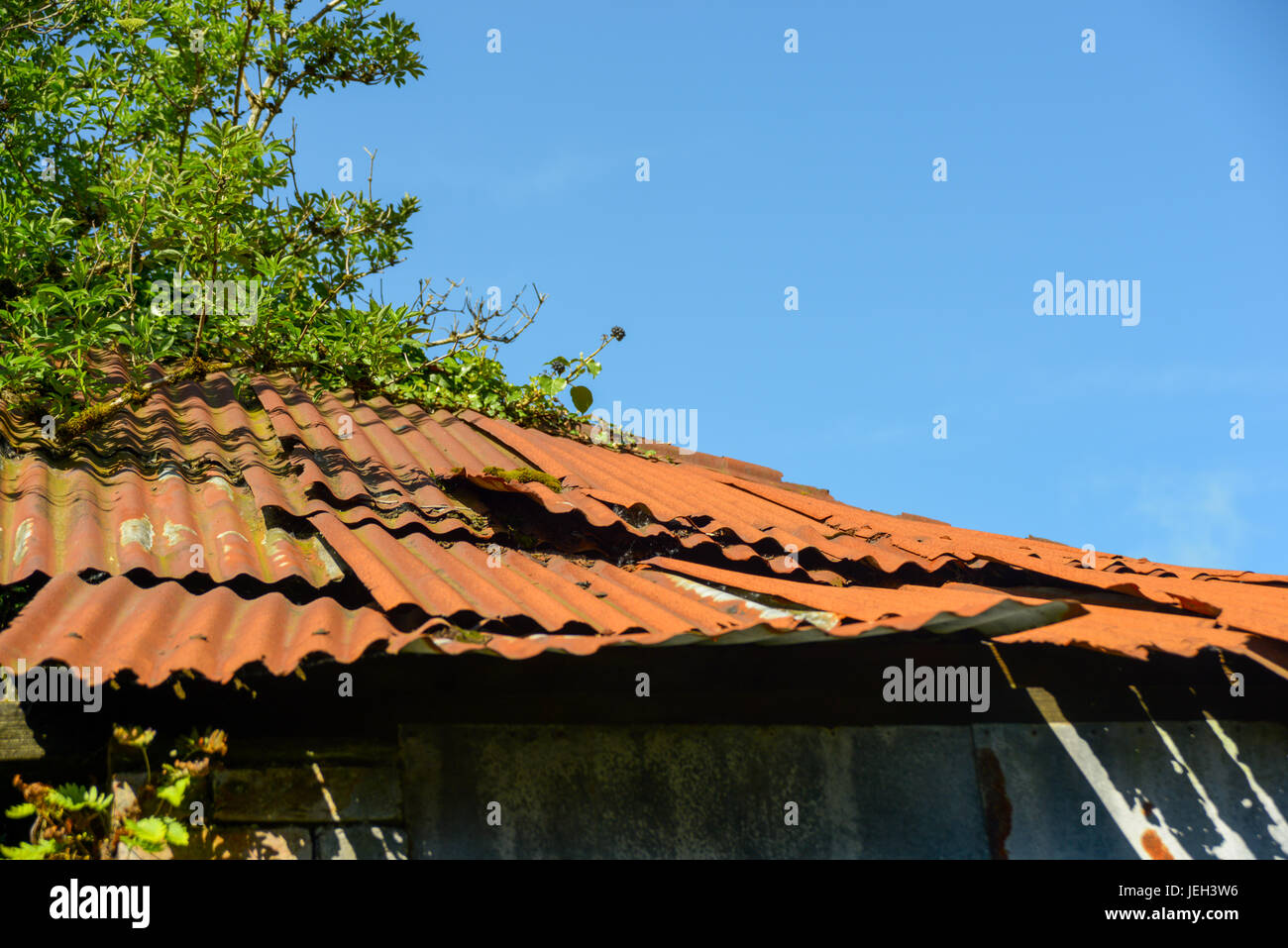 Arrugginiti di metallo ondulato su tetto edificio rurale. Foto Stock