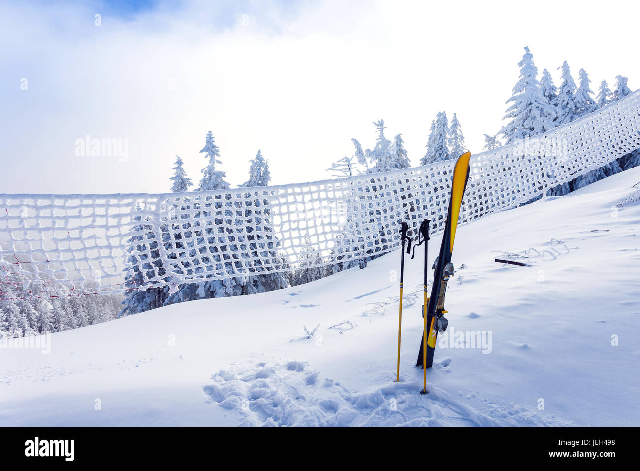 Attrezzatura da sci su piste da sci con la foresta di pini coperti di neve visti attraverso una recinzione congelato sul retro nella stagione invernale - Poiana Brasov Foto Stock