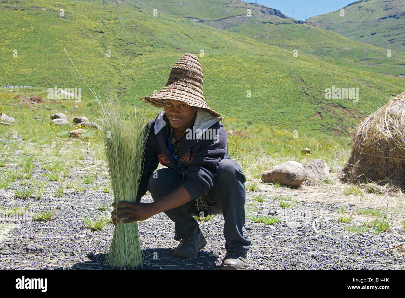 Uomo che indossa Basotho hat impilamento di sole colture secche Maloti Montagne Leribe District Lesotho Africa meridionale Foto Stock