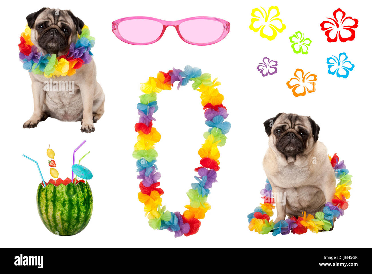 Cartone Animato Carino Cane Pug Libro Da Colorare Vettore | Vettore Premium - Foto 10