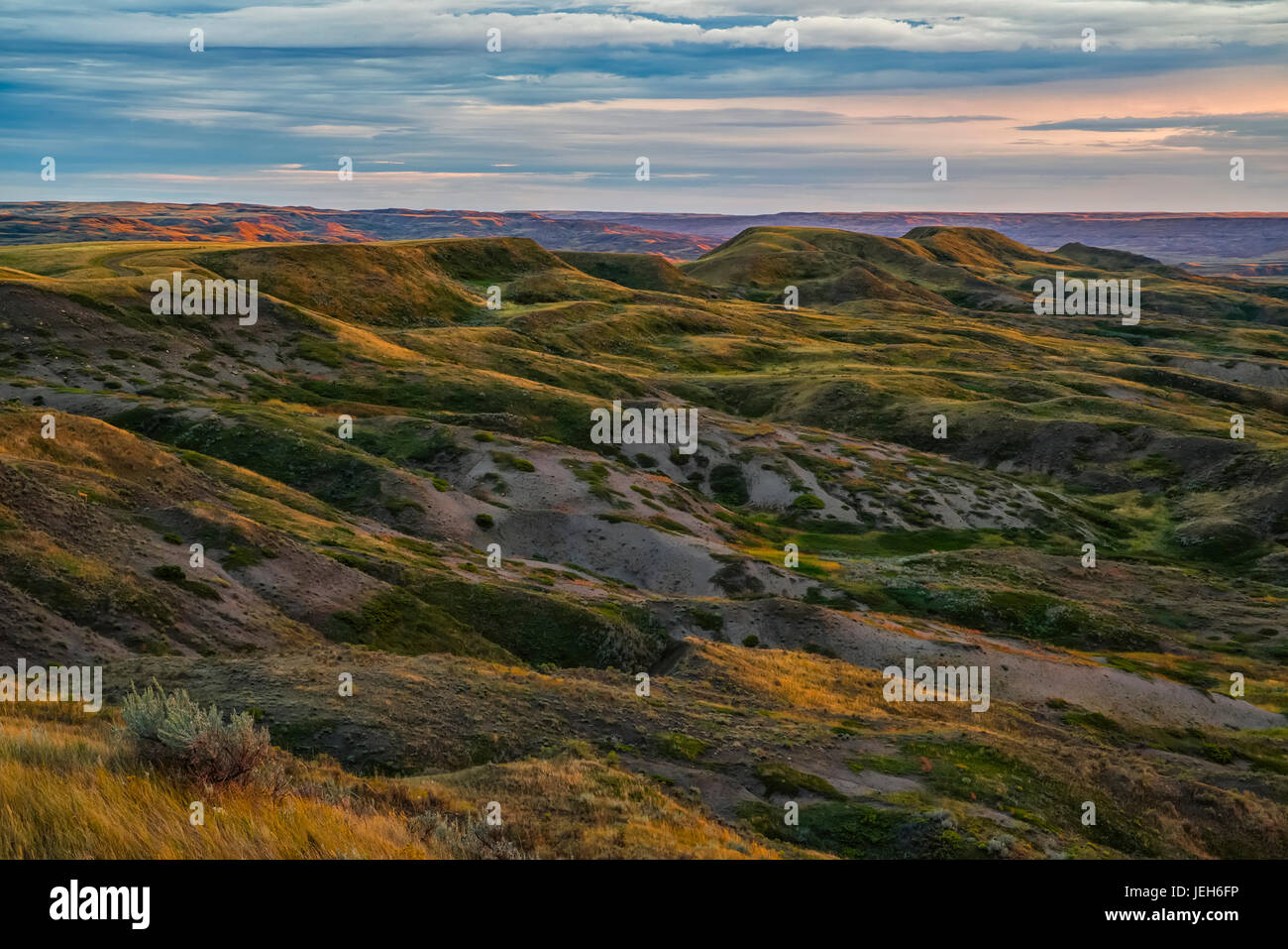 La regione di Gillespie di praterie Parco Nazionale; Saskatchewan, Canada Foto Stock