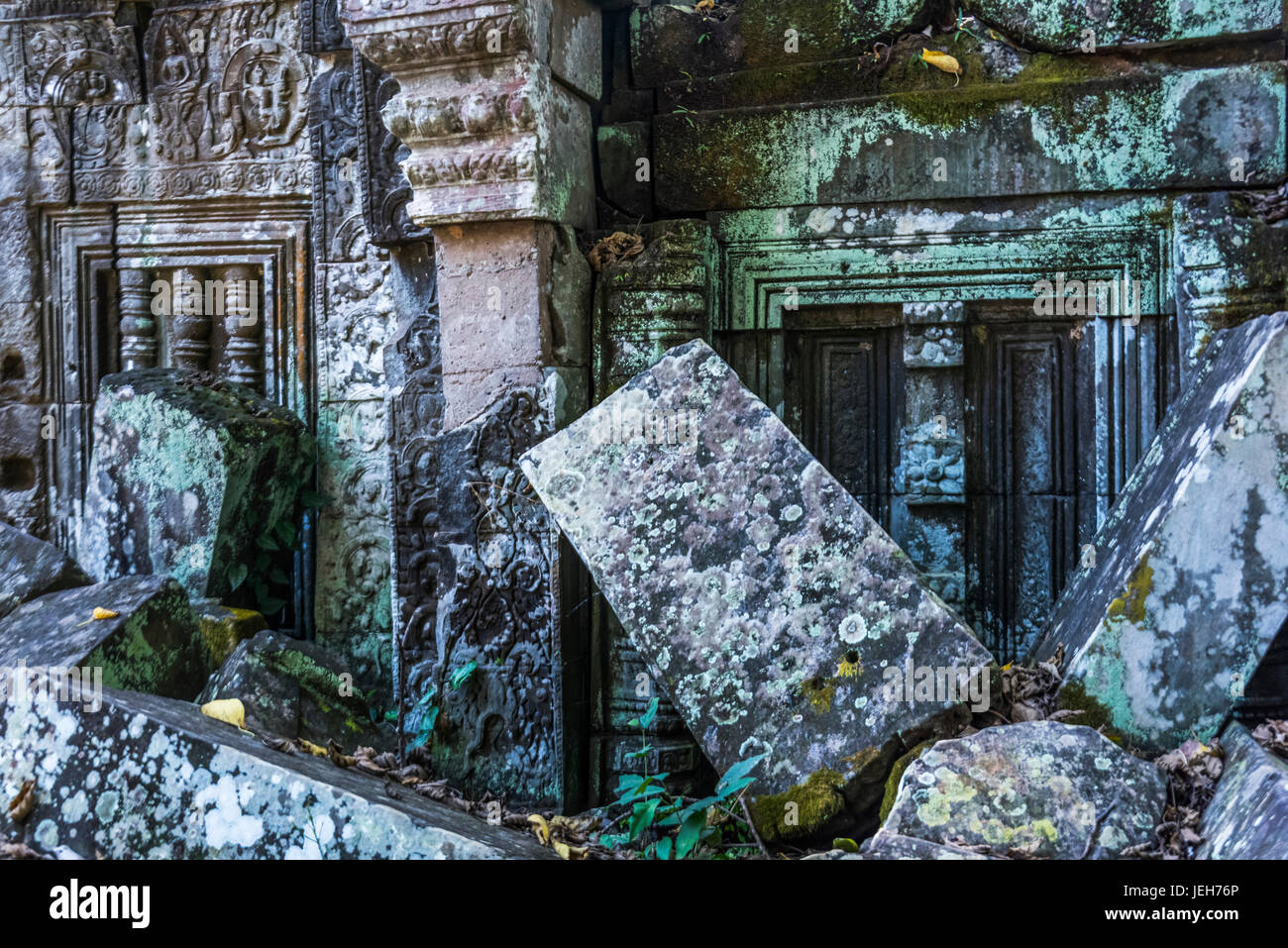 Ta Prohm tempio; Krong Siem Reap, Siem Reap Provincia, Cambogia Foto Stock