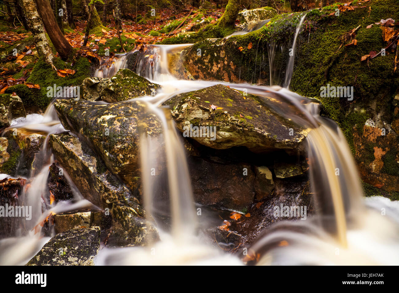 Una piccola cascata nel bosco in autunno; Bedford, Nova Scotia, Canada Foto Stock