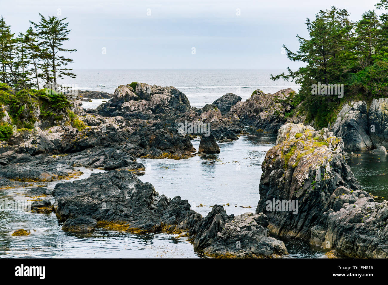 Il Rocky punto panoramico di un appartato ocean cove sul robusto della costa occidentale dell'isola di Vancouver lungo il faro sentiero escursionistico Foto Stock