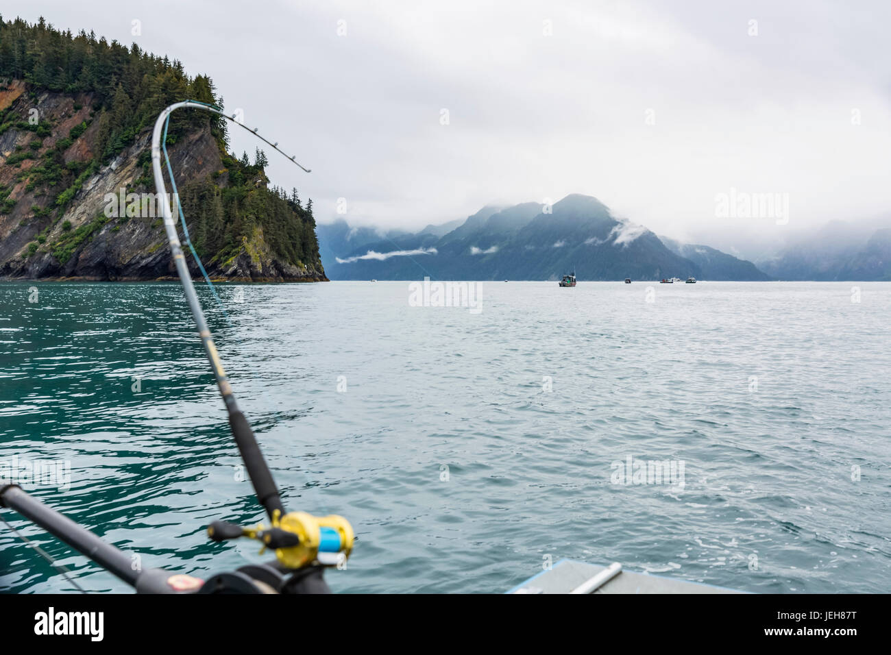 Una canna da pesca si piega come un ippoglosso atlantico colpisce la linea, foggy Kenai Mountains in background, risurrezione Bay, il centro-sud della Alaska Foto Stock