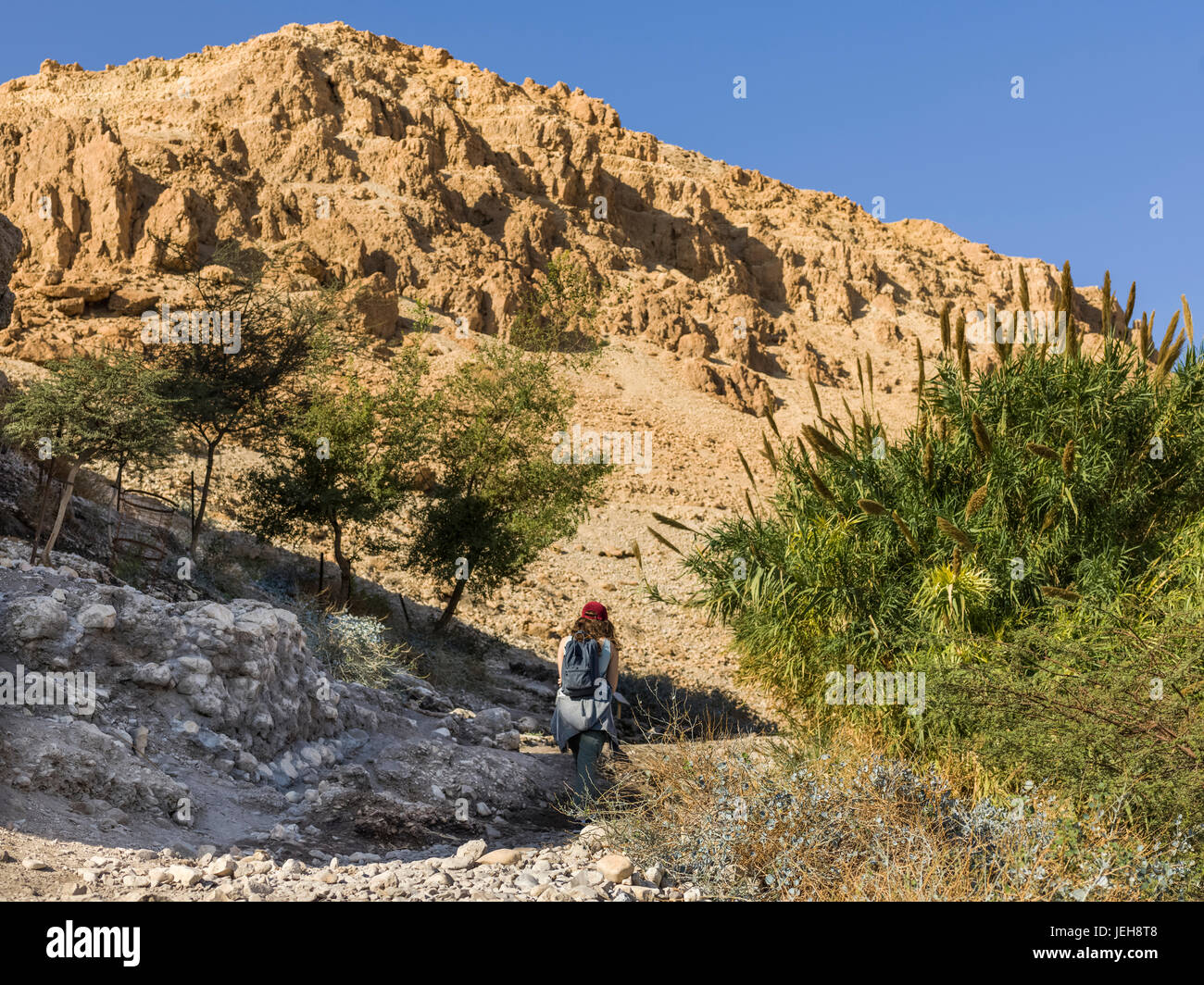 Una giovane donna cammina su un sentiero attraverso le aspre colline della Riserva Naturale di Ein Gedi, Dead Sea Distretto; Regione Sud, Israele Foto Stock