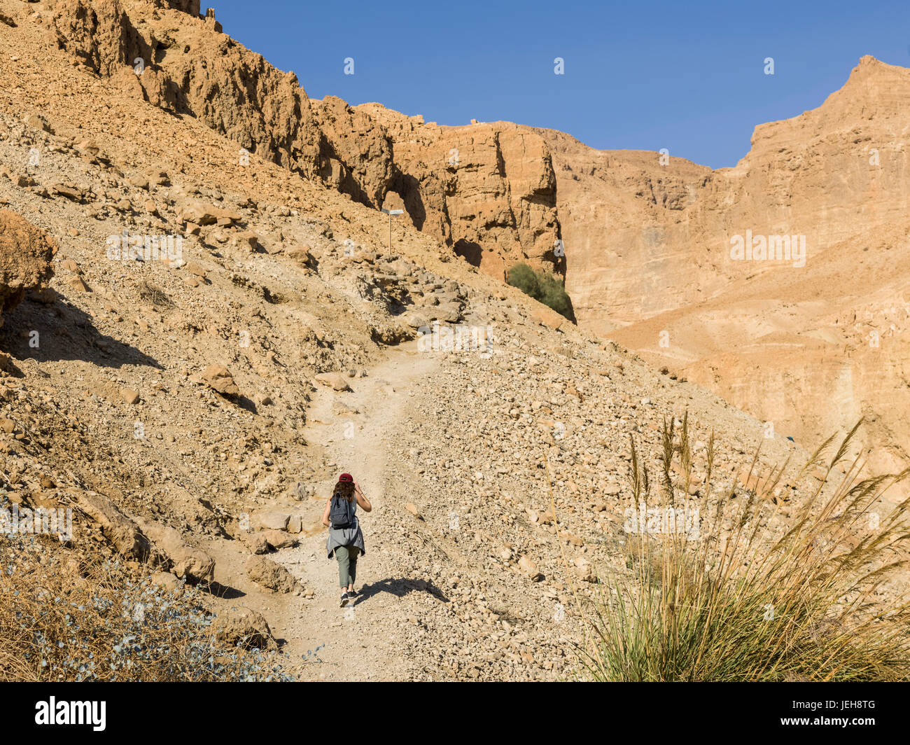 Una giovane donna cammina su un sentiero attraverso le aspre colline della Riserva Naturale di Ein Gedi, Dead Sea Distretto; Regione Sud, Israele Foto Stock