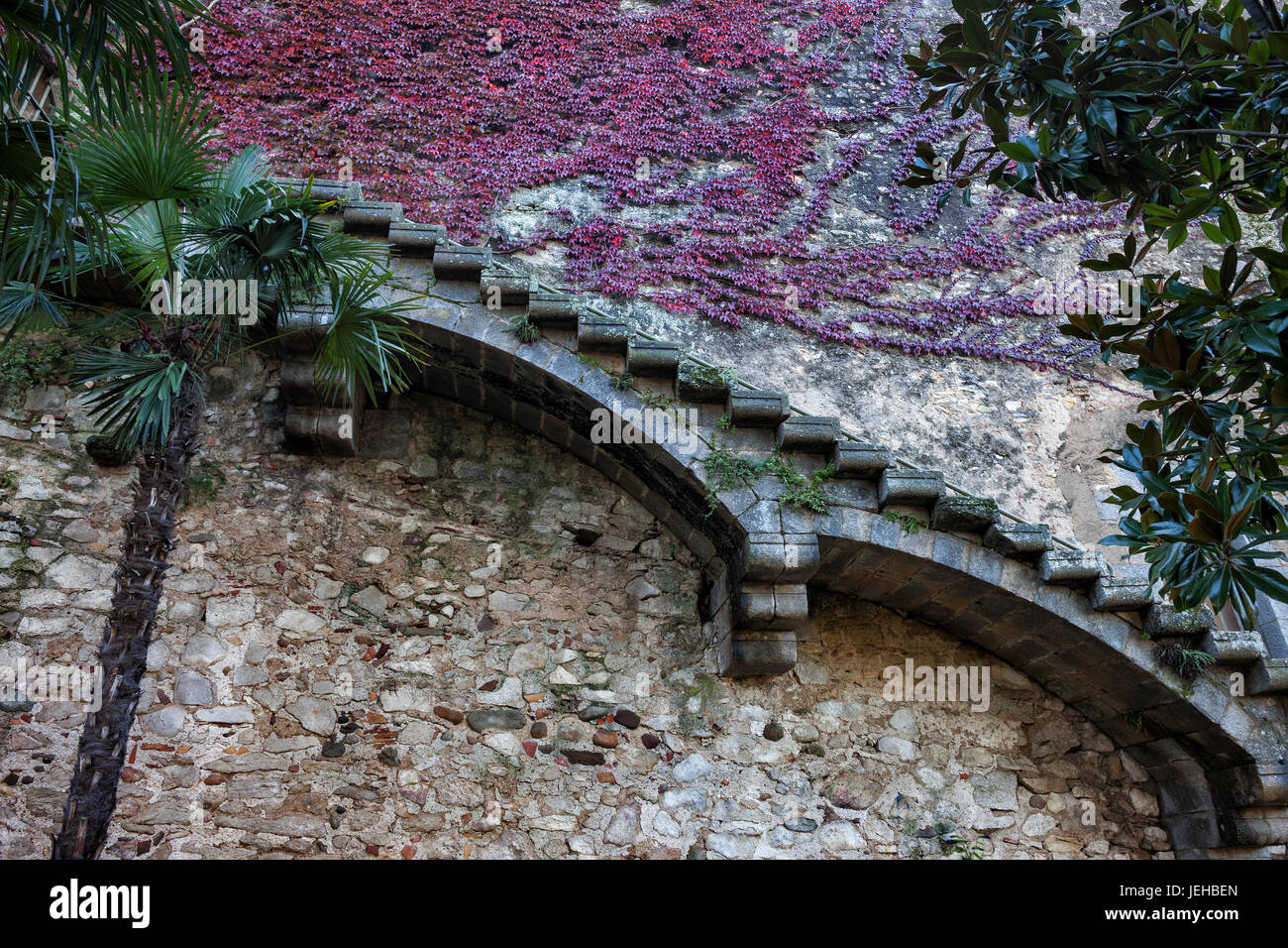 Vecchio, strette scale in pietra medievali parete con impianto di edera nella città vecchia di Girona in Spagna Foto Stock