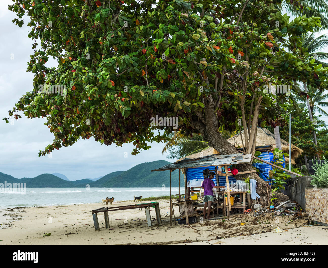 Un uomo sta nella sua shanty casa sulla spiaggia lungo il Golfo di Thailandia; Ko Samui, Chang Wat Surat Thani, Thailandia Foto Stock