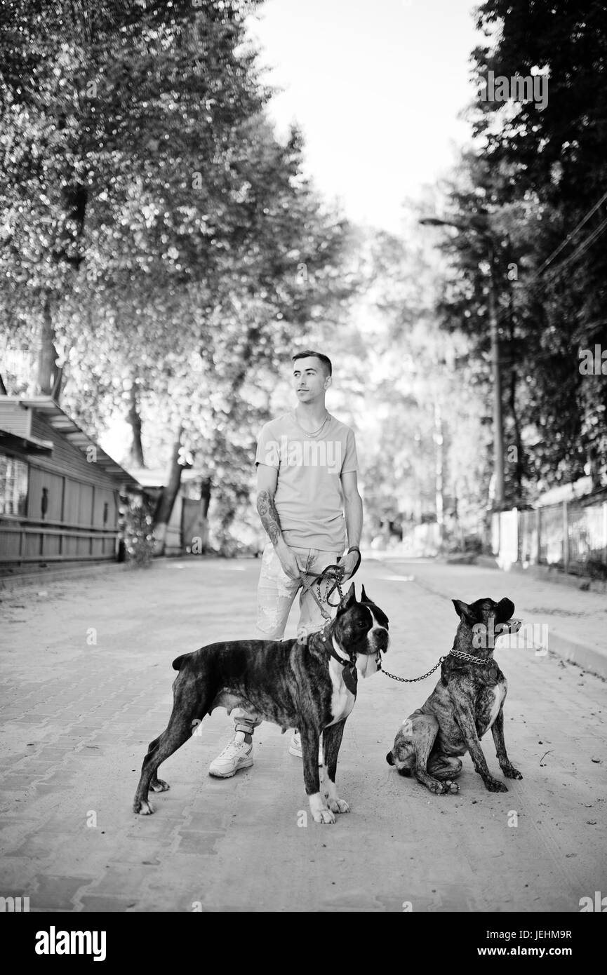 Uomo con due cani pit bull terrier su una passeggiata. Foto Stock