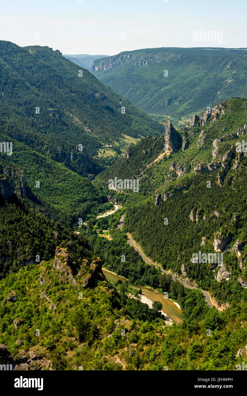 Gorges du Tarn vista dal punto sublime UNESCO - Sito Patrimonio dell'umanità. Grands Causses Parco naturale regionale. Lozere. Occitanie. La Francia. Europa Foto Stock