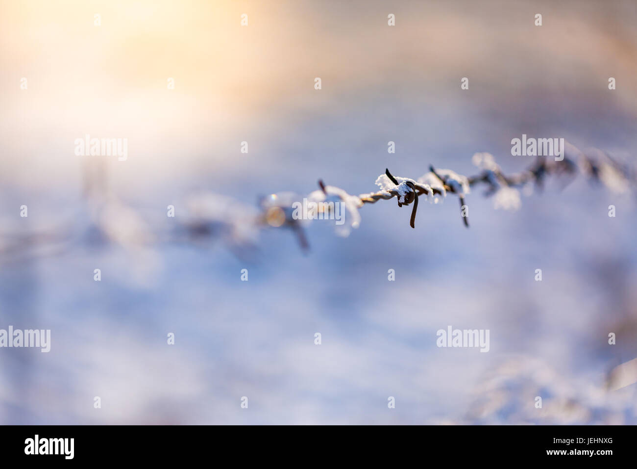 Filo spinato coperto di neve. Recinzione arrugginita in presenza di luce solare, sfondo drammatico Foto Stock