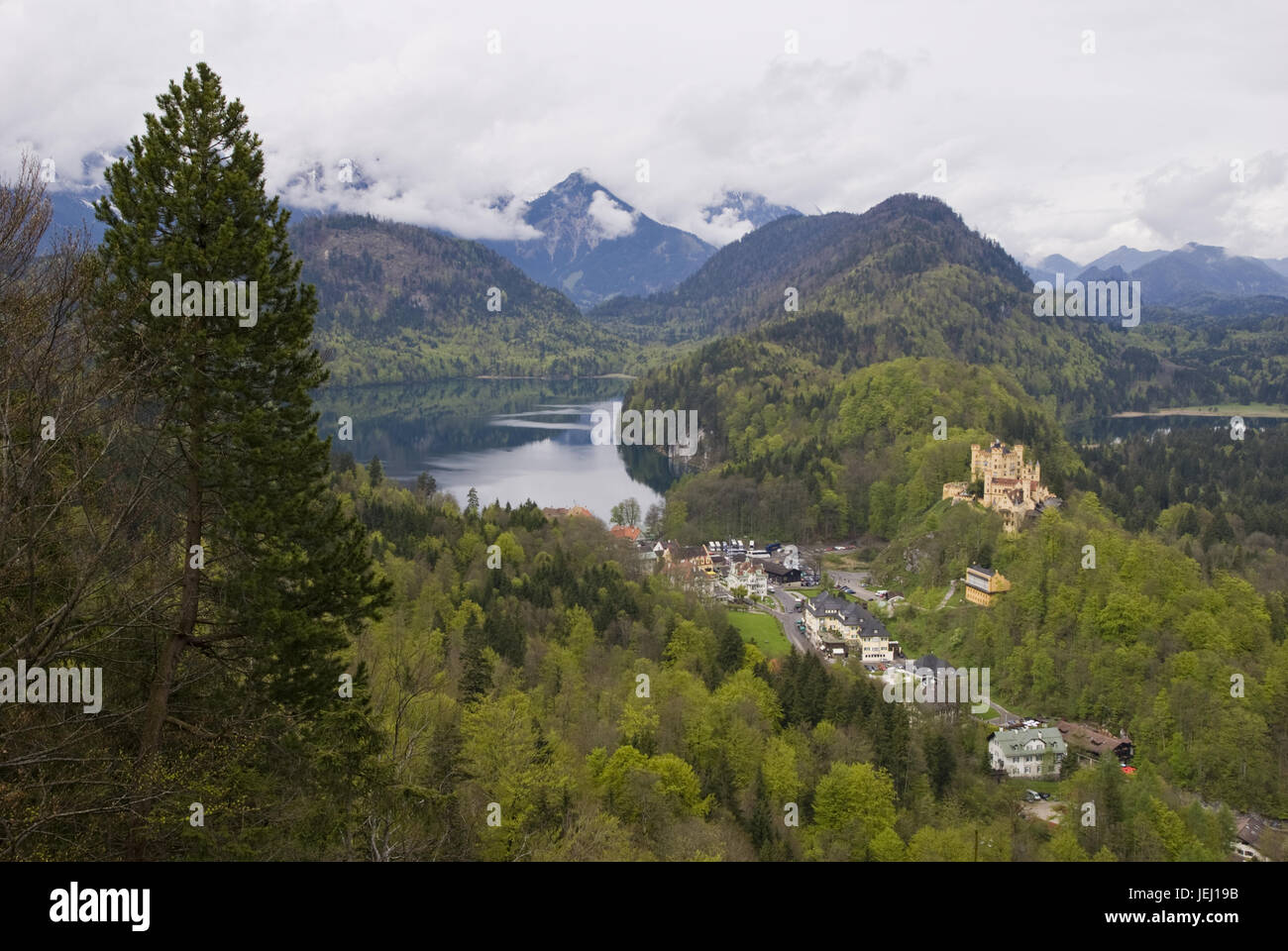 Guardare al castello di Hohenschwangau Foto Stock