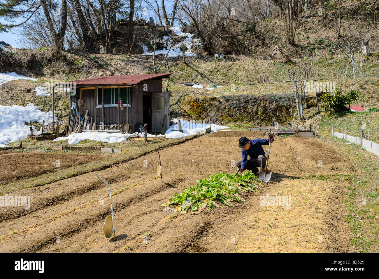 Campagna a Takayama Foto Stock