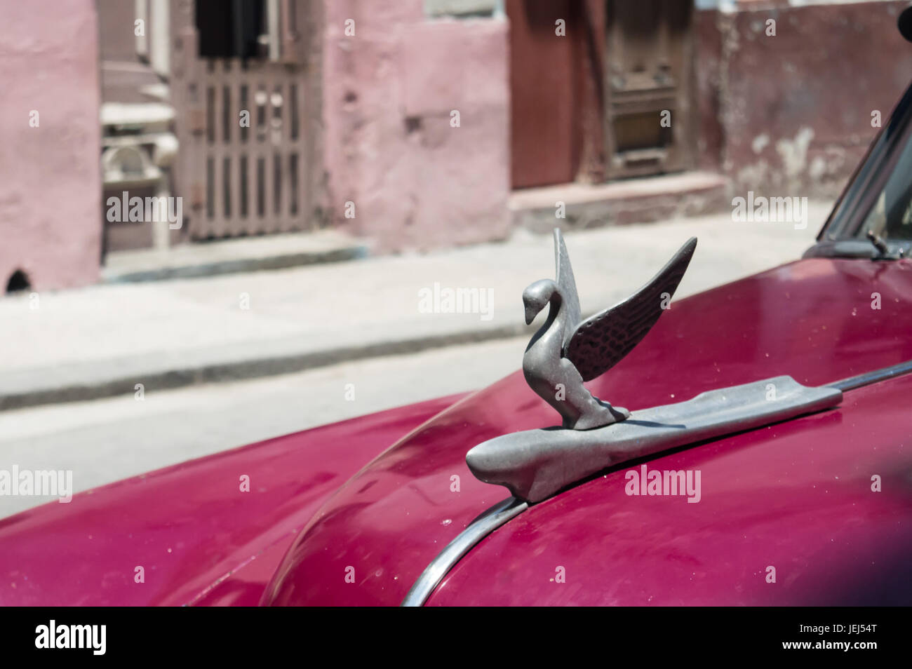Emblema del cigno su un auto d'epoca del (ora scomparso) Packard Company, in Havana Cuba Foto Stock