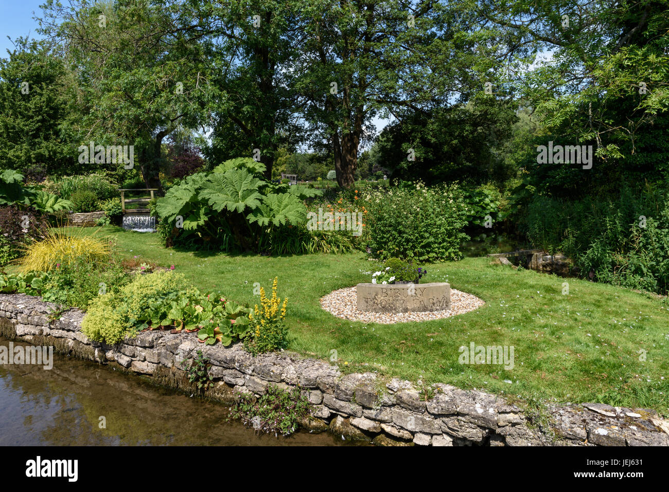 Bibury allevamento di trote, Cotswolds, REGNO UNITO Foto Stock