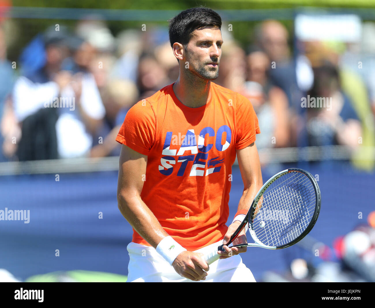 Eastbourne, Regno Unito. Il 26 giugno, 2017. Novak Djokovic di Serbia pratiche durante il giorno due di Aegon International Eastbourne il 26 giugno 2017 a Eastbourne, Inghilterra Credito: Paolo Terry foto/Alamy Live News Foto Stock
