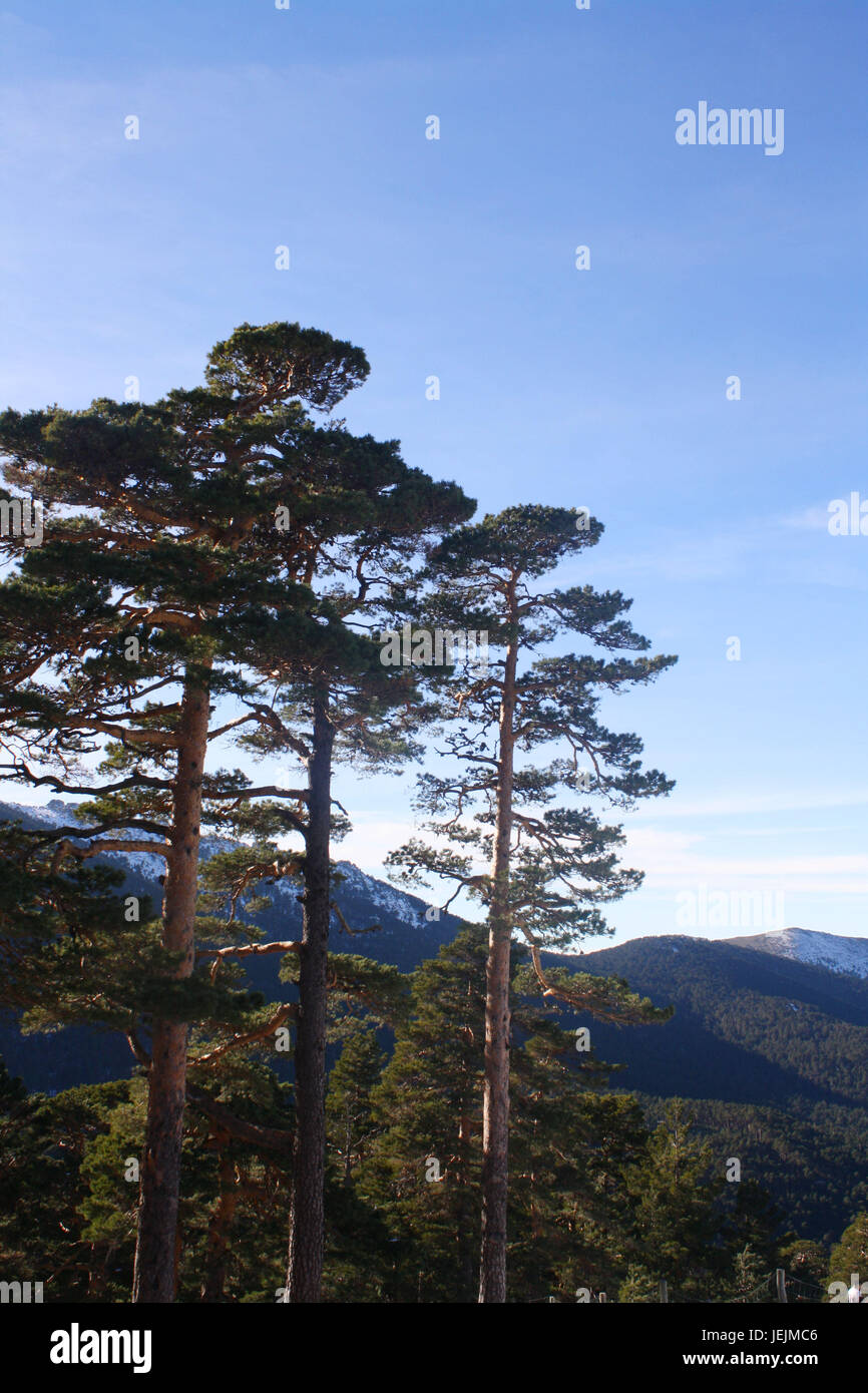 In Spagna, in inverno, il paesaggio, la bellezza della natura, la catena montuosa, sky, luogo isolato, ambiente, freddo, ghiaccio, maestoso, orizzontale di un'immagine a colori, giorno, m Foto Stock