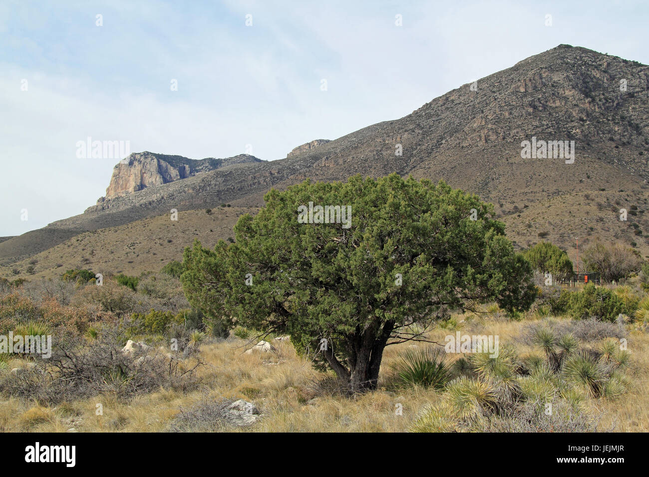 Parco nazionale delle Montagne Guadalupe nello stato del Texas Foto Stock