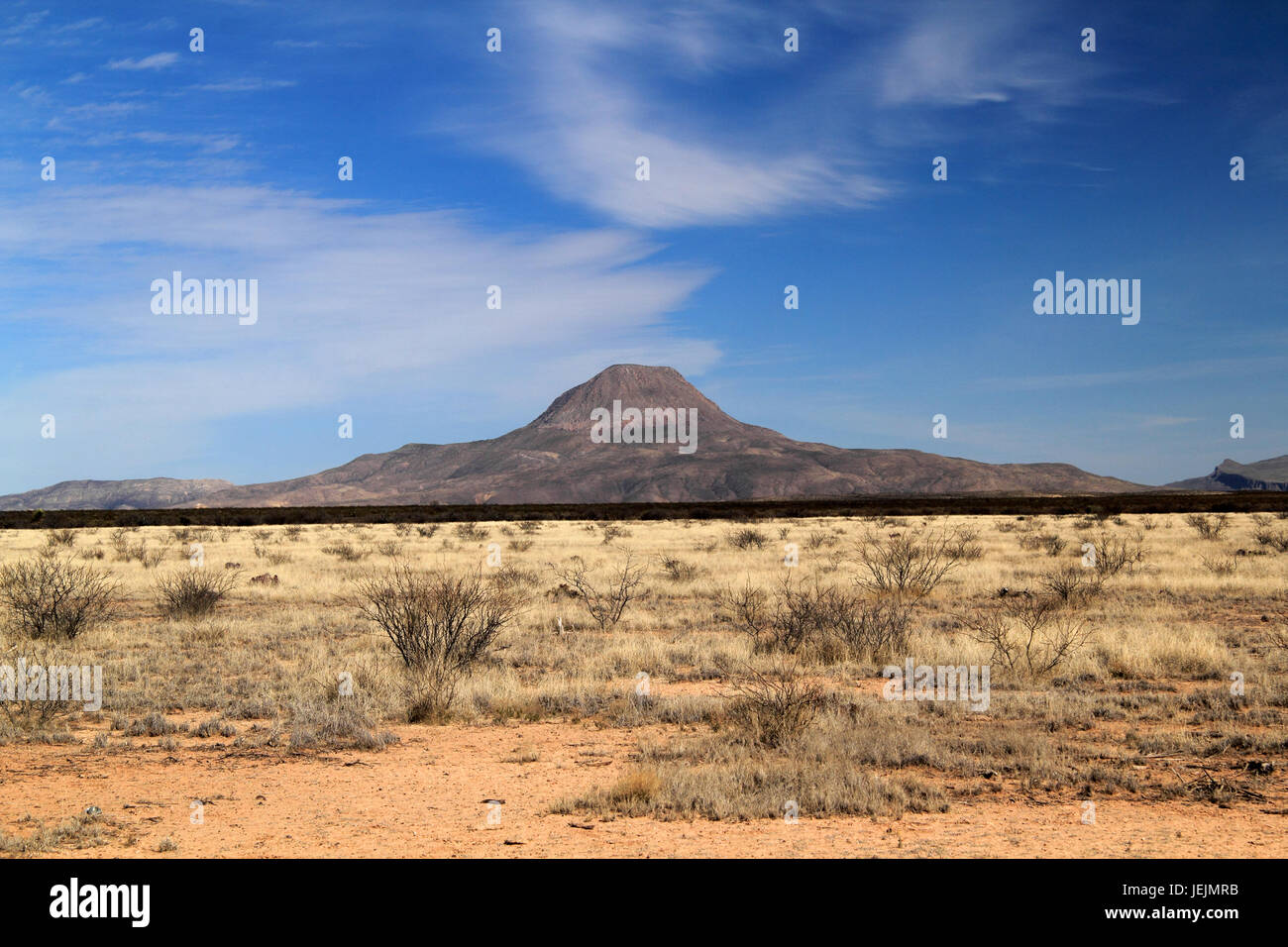 Bella southwestern paesaggi del deserto abbondano lungo il breve ma scenic Texas State Highway 118, situato nei pressi del Big Bend regione del Texas Foto Stock