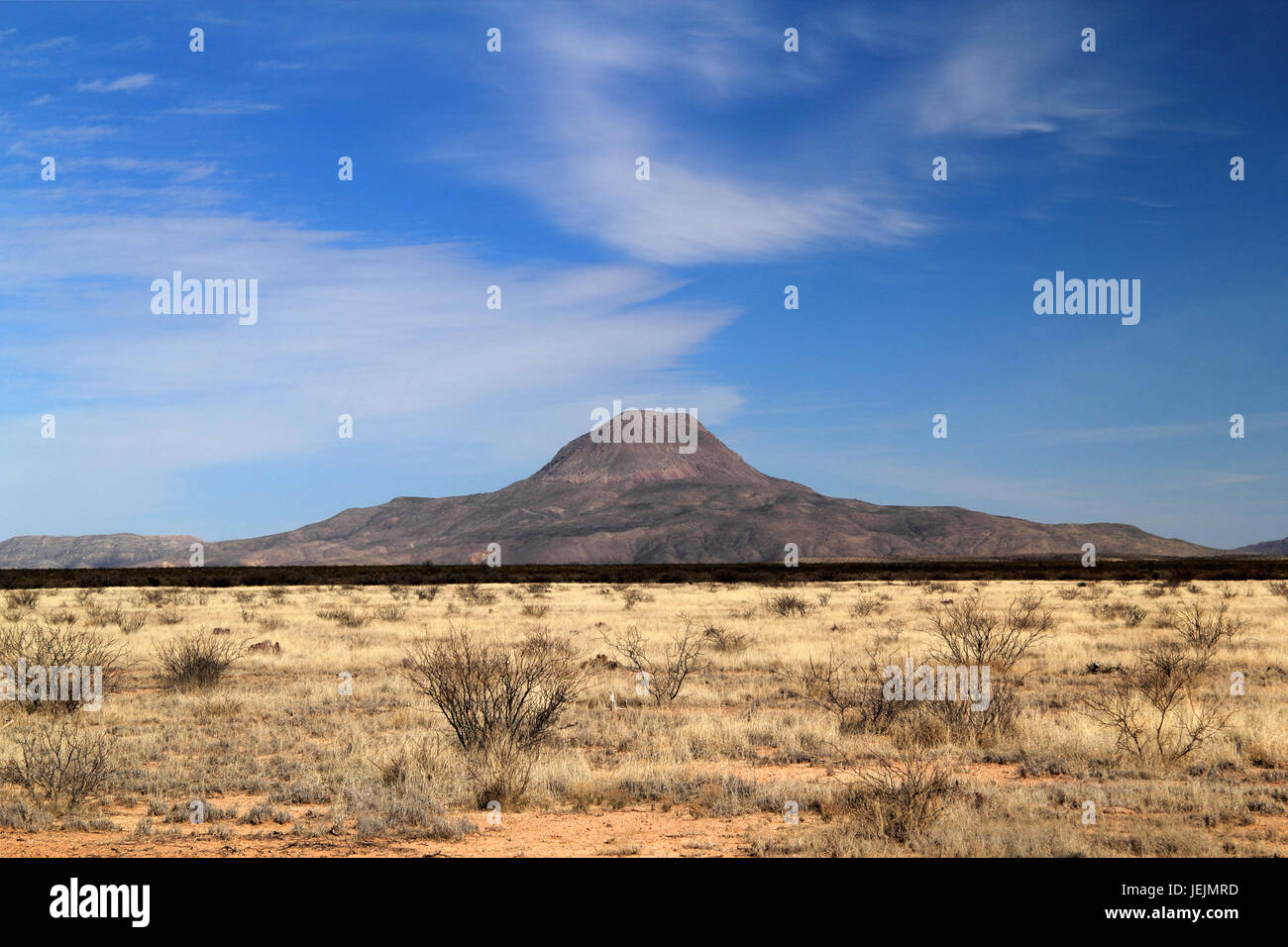 Bella southwestern paesaggi del deserto abbondano lungo il breve ma scenic Texas State Highway 118, situato nei pressi del Big Bend regione del Texas Foto Stock