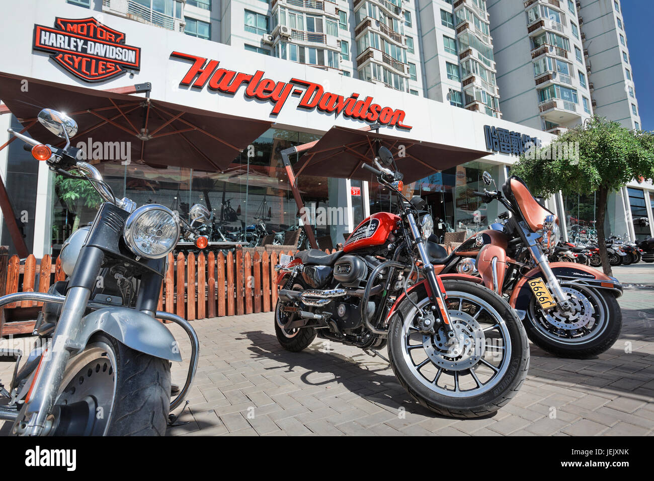 PECHINO-SEPT. 25. Negozio Harley Davidson. HD ha iniziato le vendite in Cina 2005, le biciclette sono estremamente tassate: HD bici potrebbe vendere per quattro volte lo stipendio medio. Foto Stock