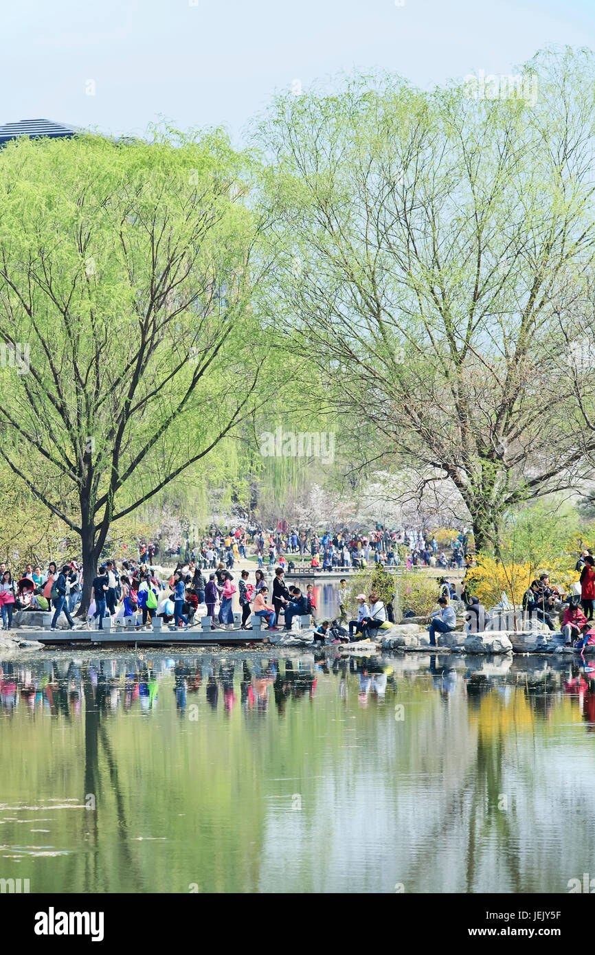 PECHINO-30 MARZO 2014. I visitatori potranno godere del parco Yuyuantan in primavera. La storia di Yuyuantan risale alla dinastia Jin (1115-1234). Foto Stock