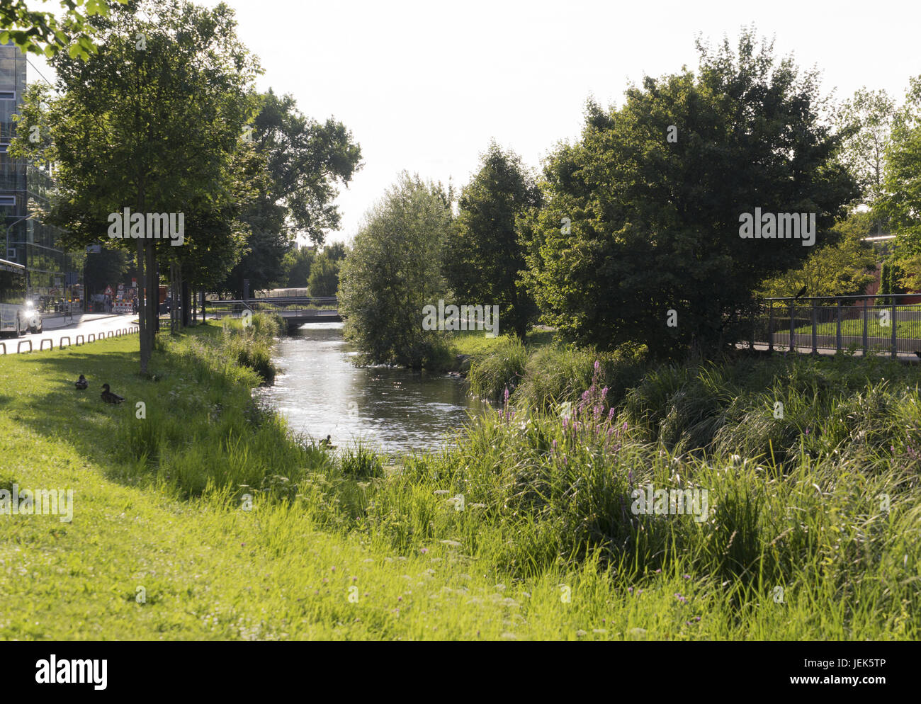 Nymphenburg-Biedersteiner-Canal Foto Stock