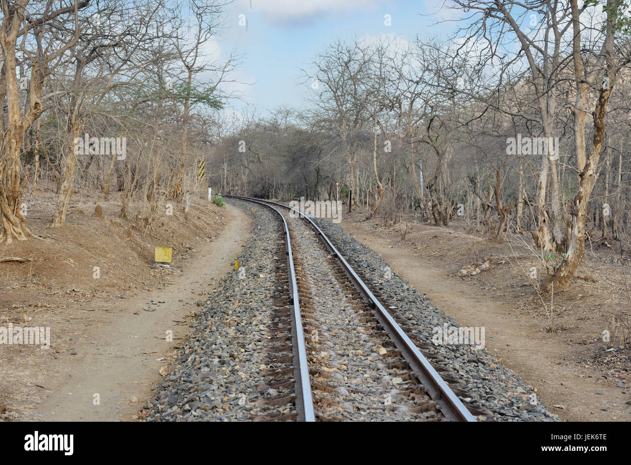 Binario ferroviario in gir national park, Gujarat, India, Asia Foto Stock